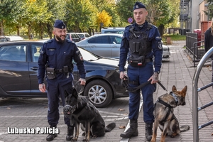 policyjne psy stoją obok swoich przewodników
