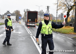 Policjant zatrzymuje pojazd do kontroli drogowej