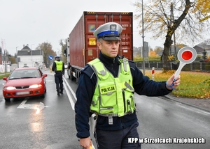 Policjant zatrzymuje pojazd do kontroli drogowej