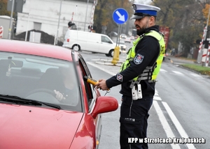 Policjant w trakcie kontroli drogowej