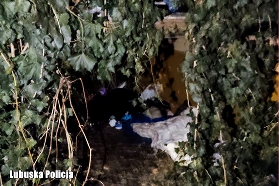 Policjanci pomogli mężczyźnę, który nocował na mrozie